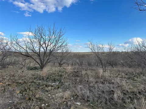 116 Comanche Lake Rd, Comanche, TX 76442 photo 9