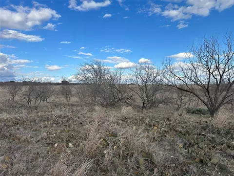 116 Comanche Lake Rd, Comanche, TX 76442 photo 4