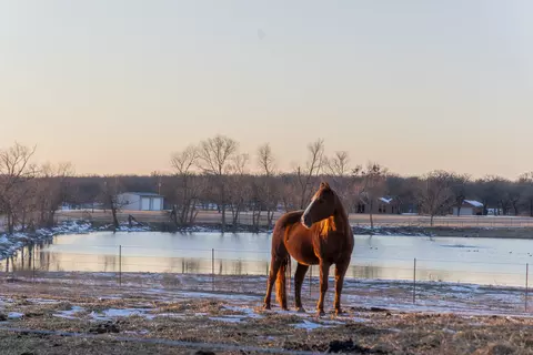 189 Nautilus Ct, Decatur, TX 76234