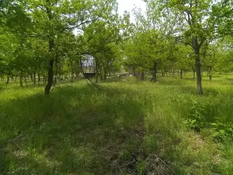 1209 County Road 416, Comanche, TX 76442