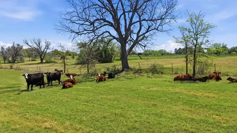 Other - 3601 Springfield Rd, Springtown, TX 76082 photo 11 of 12