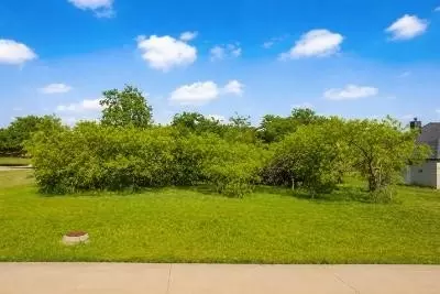 2207 Alyssum Dr, Cedar Hill, TX 75104
