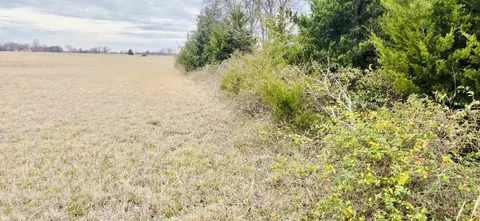 tbd Fm 196 S, Pattonville, TX 75468