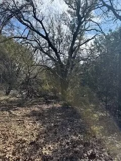 21039 Shady Oak Ct, Whitney, TX 76692