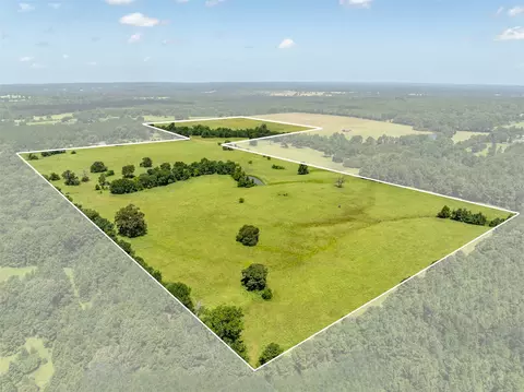 1044 Acr 379, Palestine, TX 75801