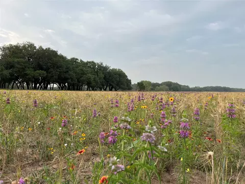 tbd Cr 131, Tuscola, TX 79562