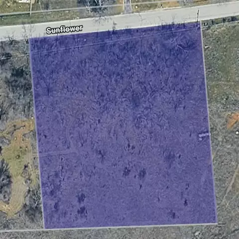 0000 Sunflower Rd, Paradise, TX 76073