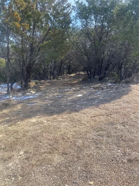 3217 Lakeside Dr, Granbury, TX 76048