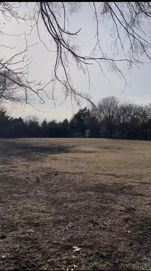 295 Oakwood Dr, Lancaster, TX 75146