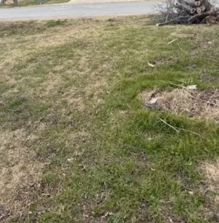 S40 - 20 3 Orr 0.069 Acre Ash Street, Ferris, TX 75125