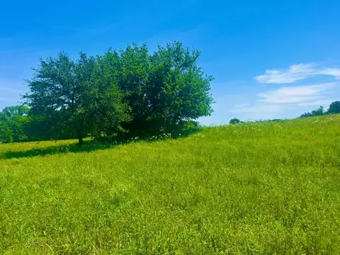 lot102 Arlow Rd, Poolville, TX 76487