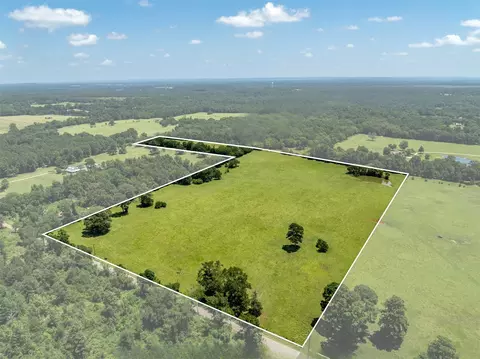 592 Acr 379, Palestine, TX 75801