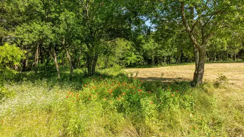 tbd E Fm 455, Pilot Point, TX 76258 photo 4