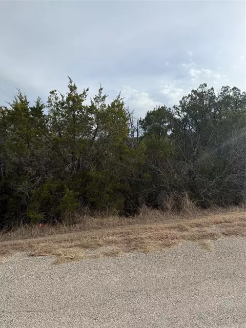 3111 Canadian River Trl, Granbury, TX 76048