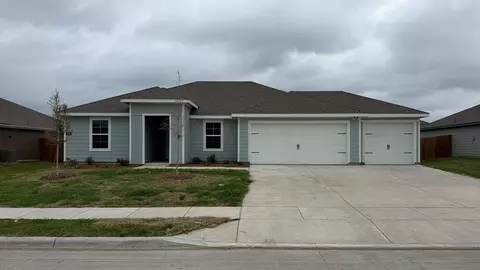 406 American Elm Dr, Josephine, TX 75189