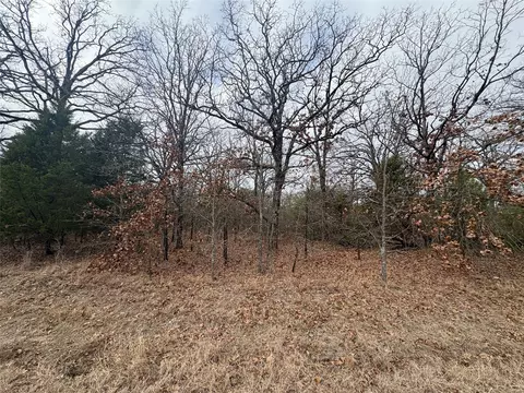 118 Pocahontas St, Mabank, TX 75156