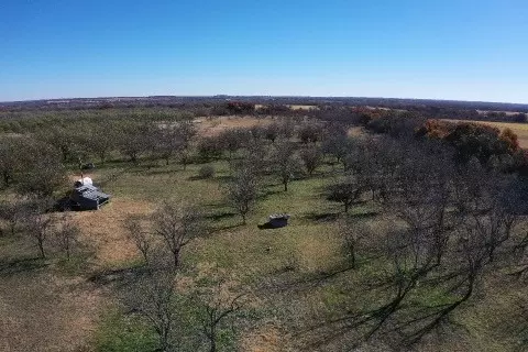 tbd 452, De Leon, TX 76444 photo 7