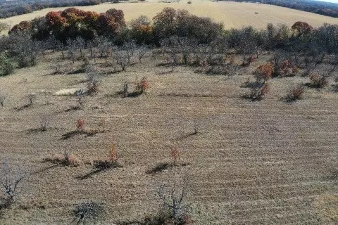 tbd 452, De Leon, TX 76444 photo 4