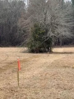 0 Bellevue Rd #LOT 1, Haughton, LA 71037