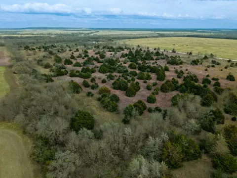 tbd Lcr 189 E, Coolidge, TX 76635 photo 9