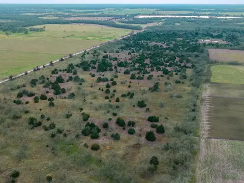 tbd Lcr 189 E, Coolidge, TX 76635 photo 10