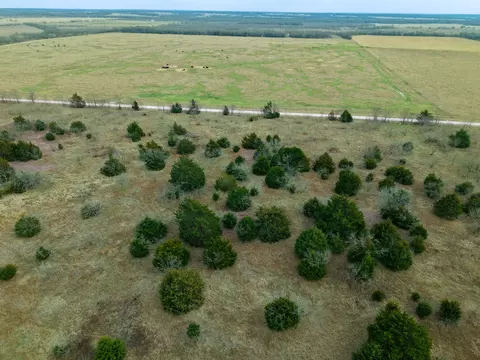 tbd Lcr 189 E, Coolidge, TX 76635 photo 13