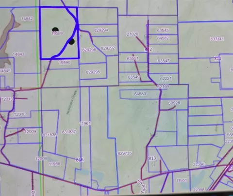 00000 County Road 442, Palestine, TX 75803