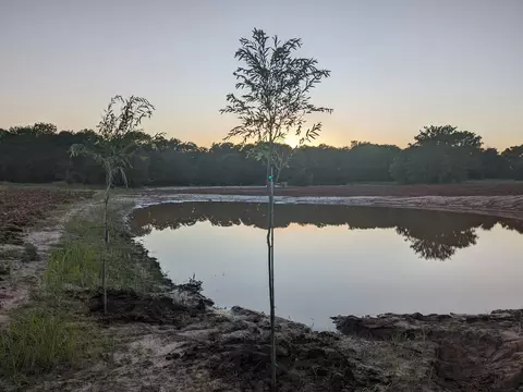 268 Private Road 3427, Bridgeport, TX 76426