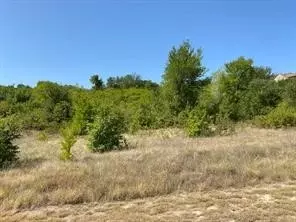 lot168 Canyon Wren N, Graford, TX 76449