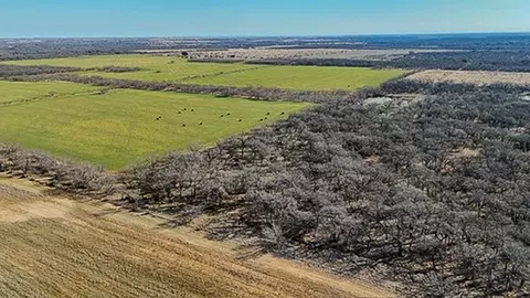 454 County Road 196, Gorman, TX 76454