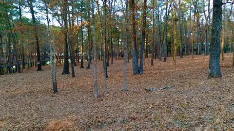 tbd Hickory Trail Apt Trl #(11E), Flint, TX 75762