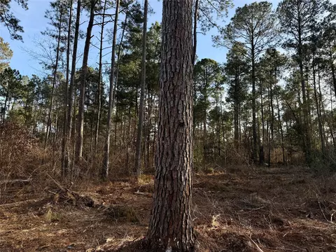 lot6 King Estate Ln, Ruston, LA 71270 photo 4