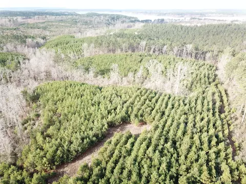 00 Off Mcmanus Rd, Zwolle, LA 71486
