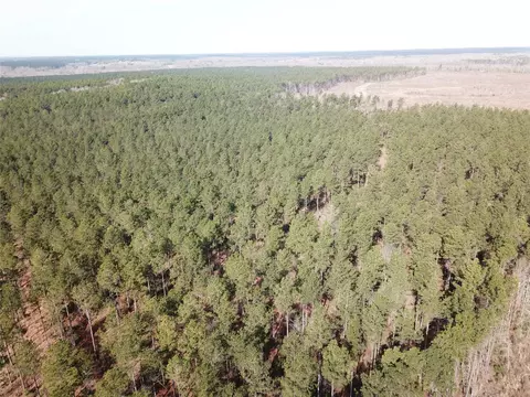 00 Old Pleasant Hill Rd, Zwolle, LA 71486