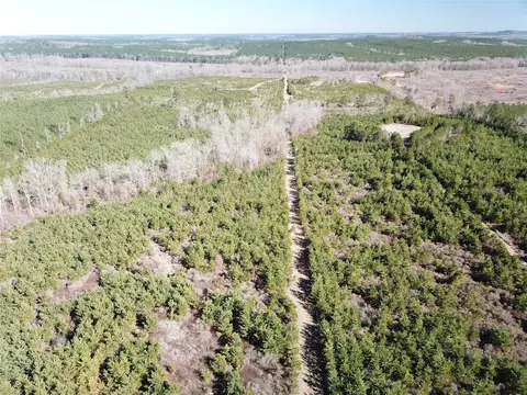 00 Off Hwy 517, Gibsland, LA 71028