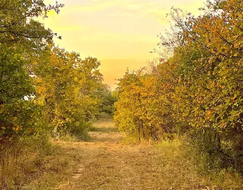 350 Indian Camp Rd, Weatherford, TX 76088