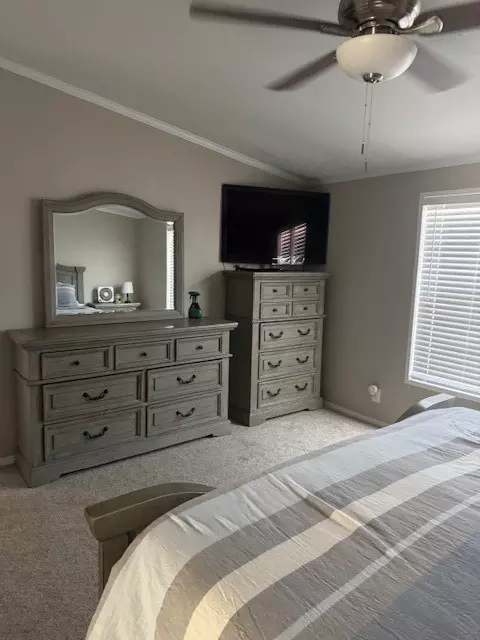 117 M Anthony Loop, Graford, TX 76449 photo 15