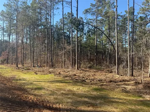 lot10 King Estate Ln, Ruston, LA 71270 photo 3