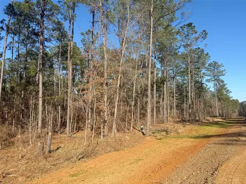 lot10 King Estate Ln, Ruston, LA 71270 photo 2