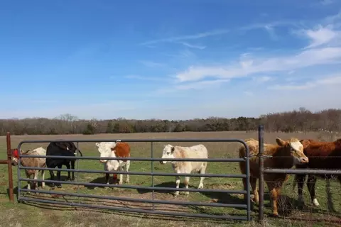 2488 Rs County Road 1525, Point, TX 75472