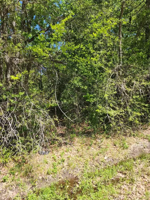 116 Lindy Lee Ln, Mabank, TX 75156