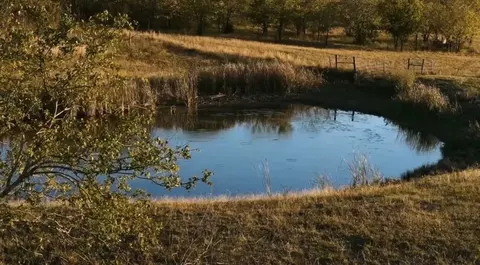 View/Area - 1179 E Fm 813, Palmer, TX 75152 photo 2 of 6