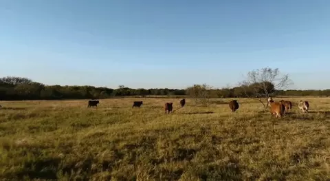 Other - 1179 E Fm 813, Palmer, TX 75152 photo 1 of 7