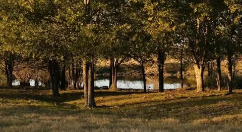 View/Area - 1179 E Fm 813, Palmer, TX 75152 photo 1 of 6