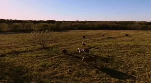 Other - 1179 E Fm 813, Palmer, TX 75152 photo 3 of 7