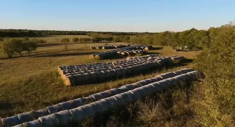 Other - 1179 E Fm 813, Palmer, TX 75152 photo 6 of 7