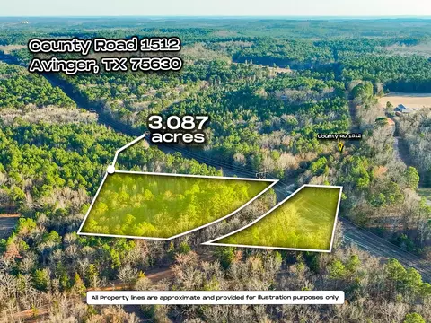 tbd County Road 1512, Avinger, TX 75630