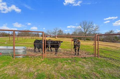 Other - 4633 Fm 36 N, Celeste, TX 75423 photo 9 of 9