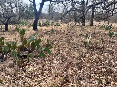 lot64 Janda Ln, Brownwood, TX 76801