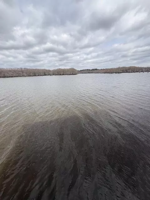 View/Area - 306 Pine St, Heflin, LA 71039 photo 1 of 1